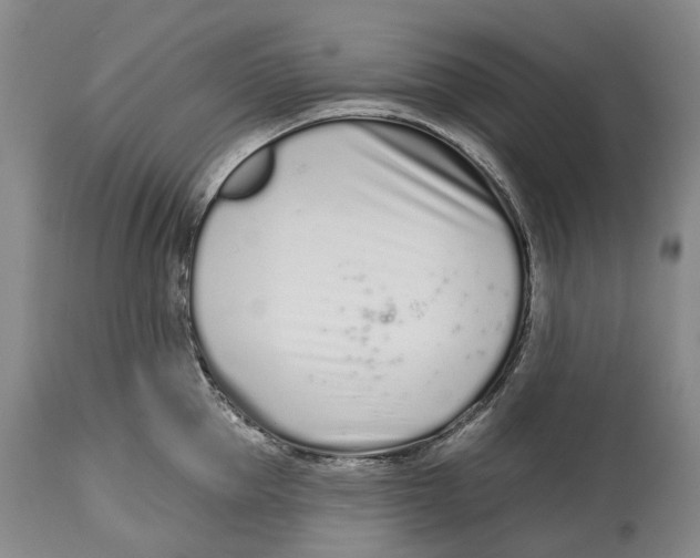 X0000115110953200911171302