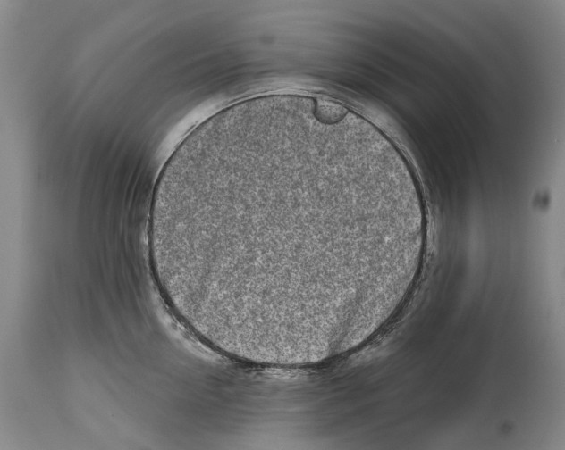 X0000115110954200911171302