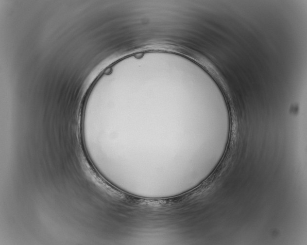 X0000115110955200911171302