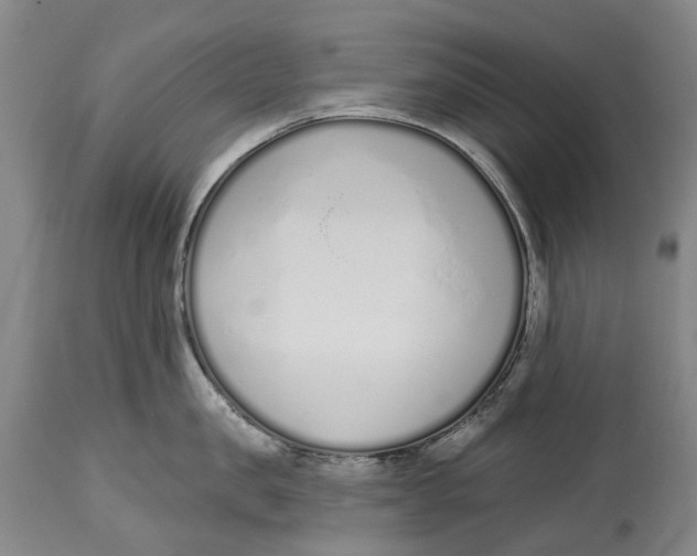 X0000115110957200911171302