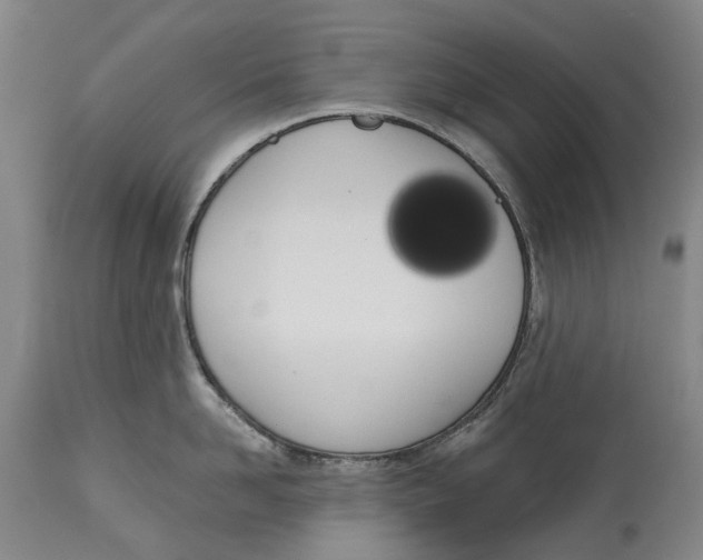 X0000115110958200911171302