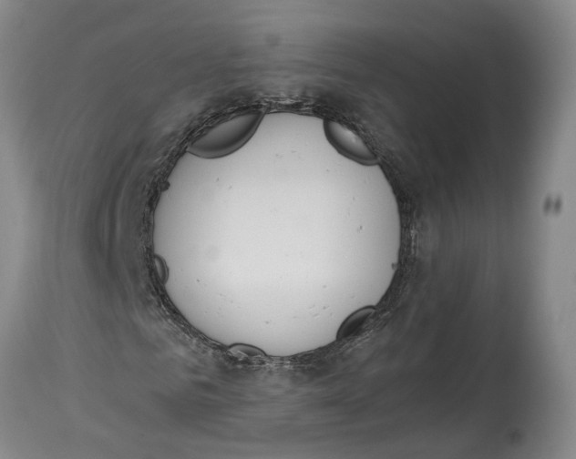 X0000115110961200911171302