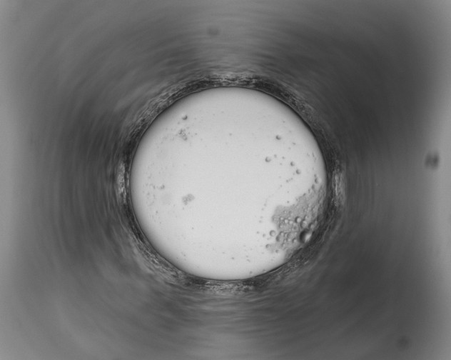 X0000115110963200911171302