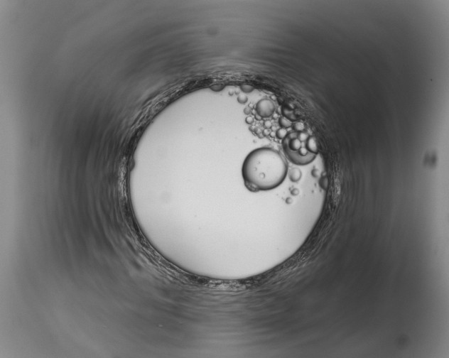 X0000115110964200911171302