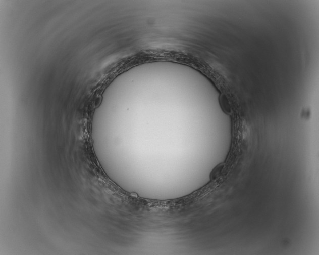 X0000115110965200911171302