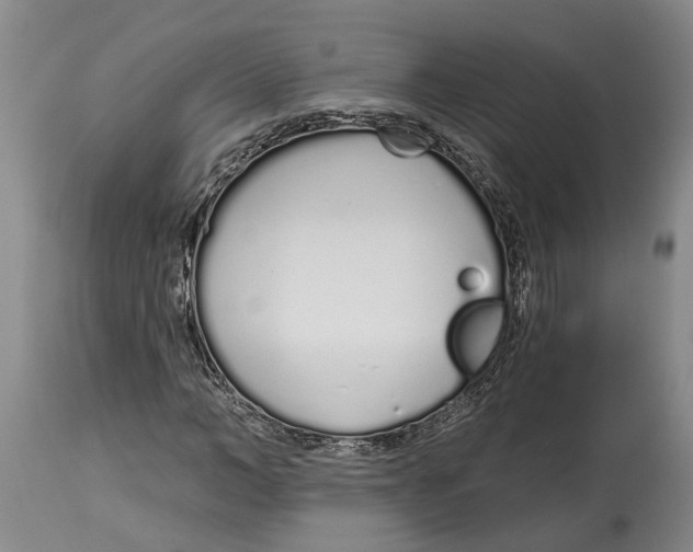 X0000115110966200911171302