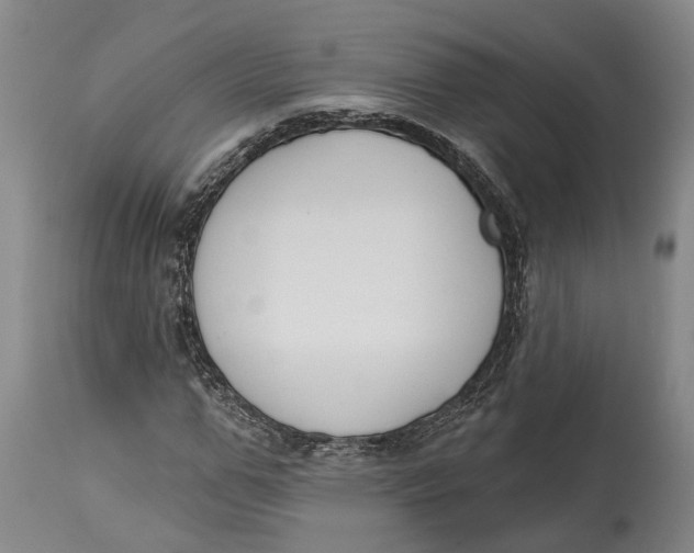 X0000115110967200911171302