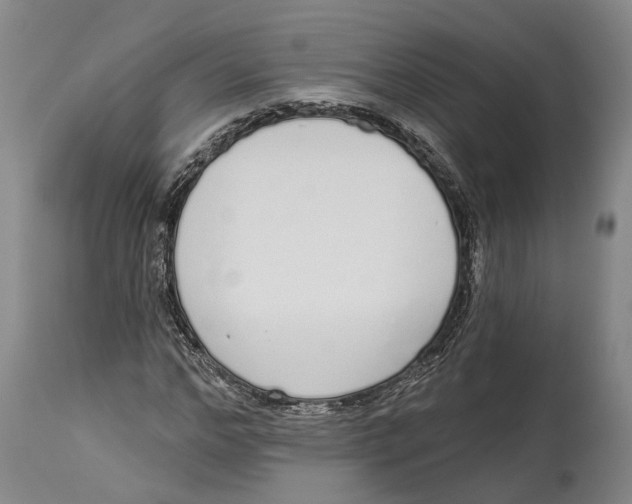 X0000115110968200911171302