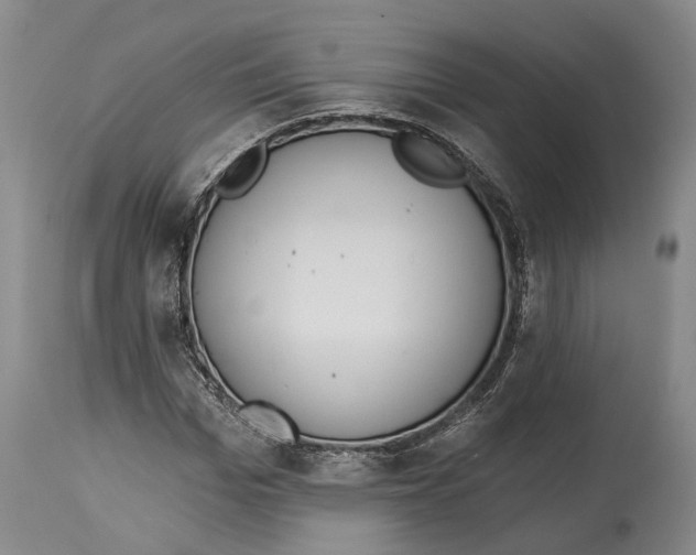X0000115110969200911171301