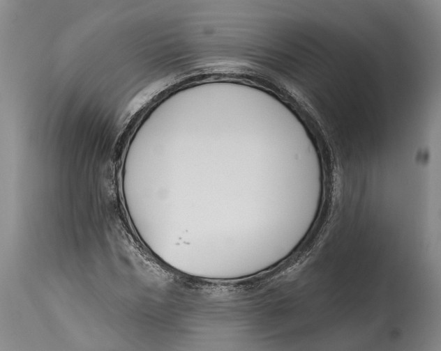 X0000115110970200911171301
