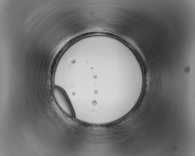 X0000115110972200911171301
