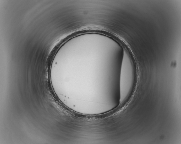 X0000115110973200911171301