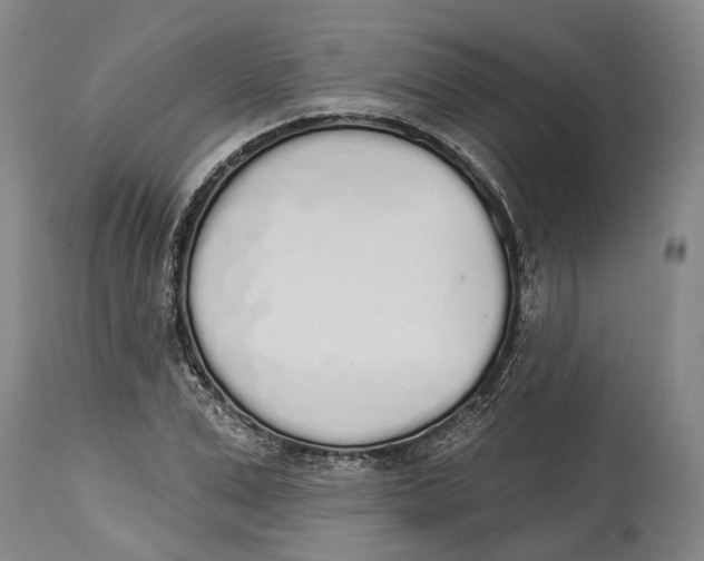 X0000115110975200911171301