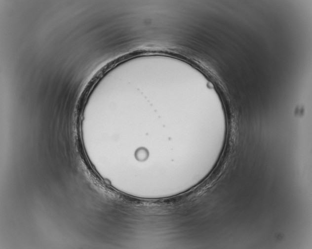 X0000115110976200911171301