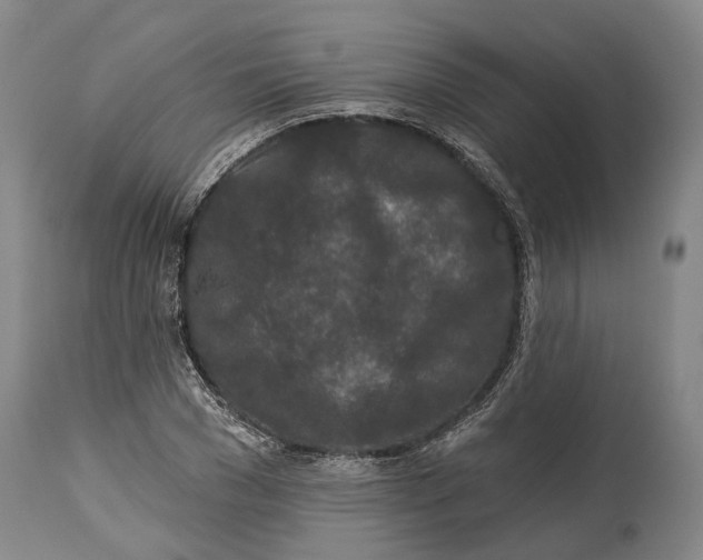 X0000115110977200911171301