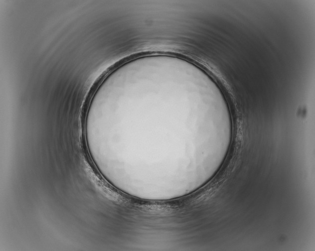 X0000115110980200911171301