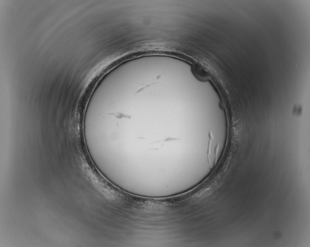 X0000115110981200911171301