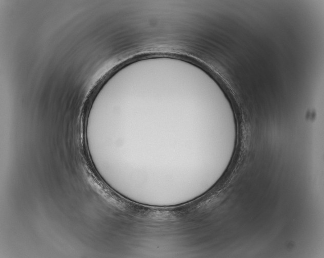 X0000115110982200911171301