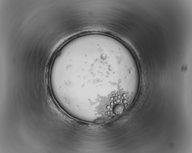 X0000115110983200911171301