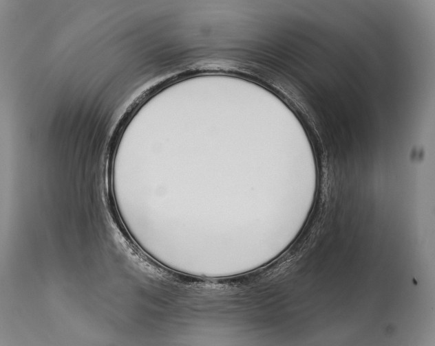 X0000115110984200911171301