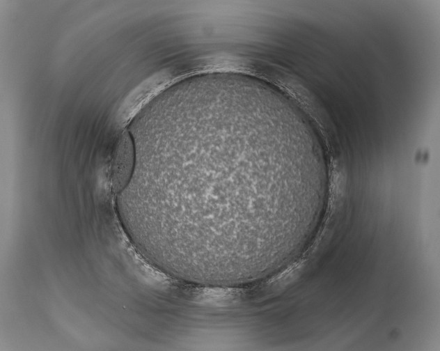 X0000115110985200911171301