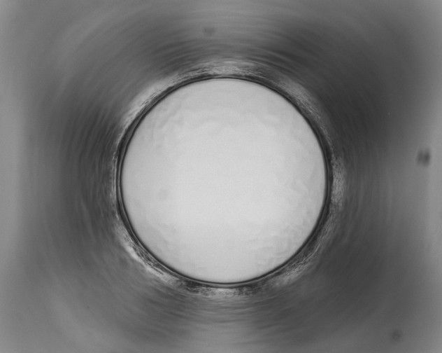 X0000115110986200911171301