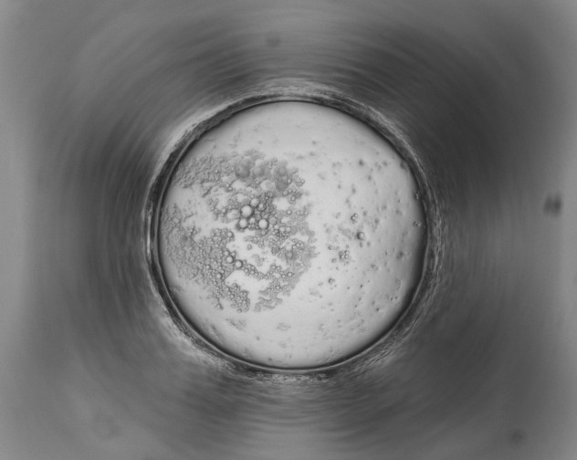 X0000115110987200911171301