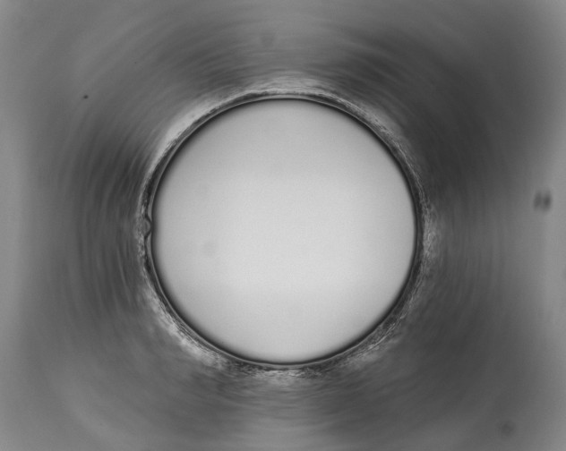 X0000115110990200911171301