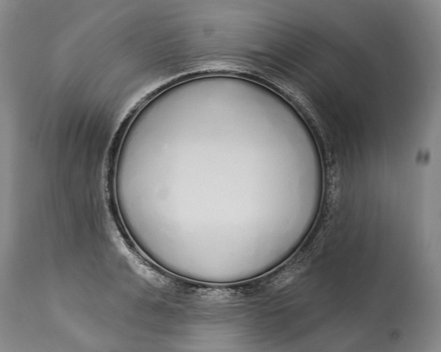 X0000115110991200911171301