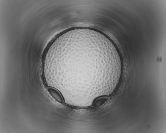 X0000115110992200911171301