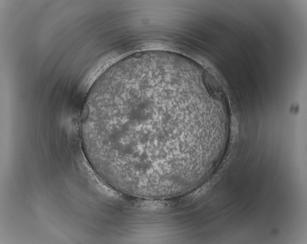 X0000115110993200911171301
