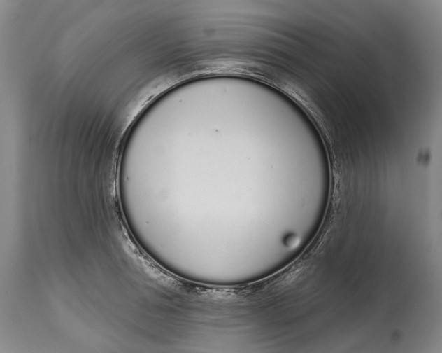 X0000115110994200911171301