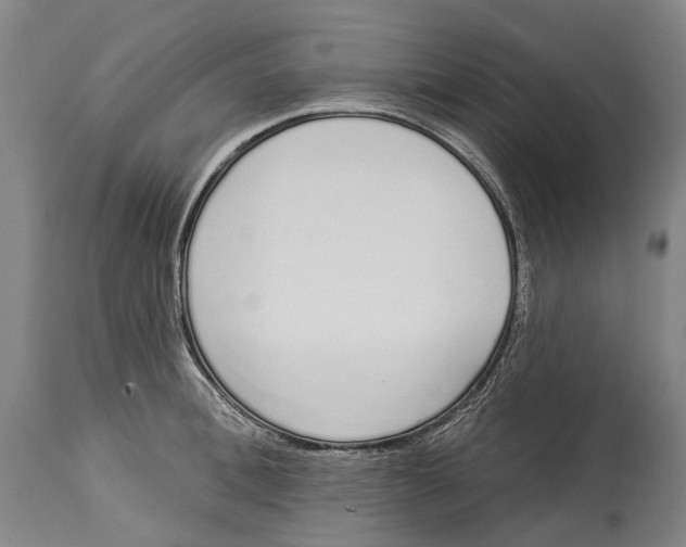 X0000115110996200911171301
