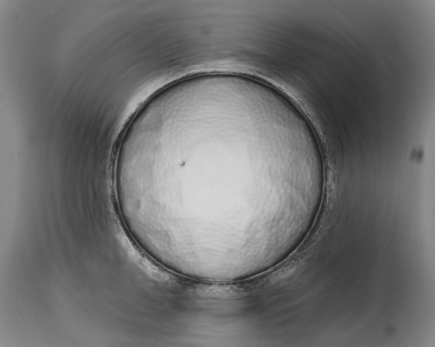 X0000115110998200911171301