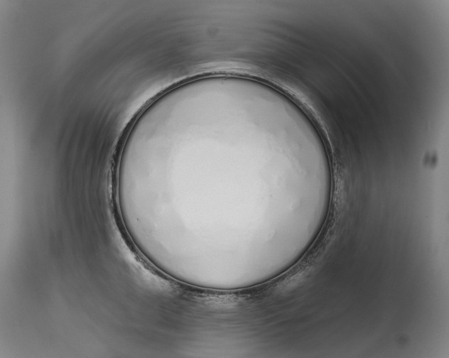 X0000115110999200911171301