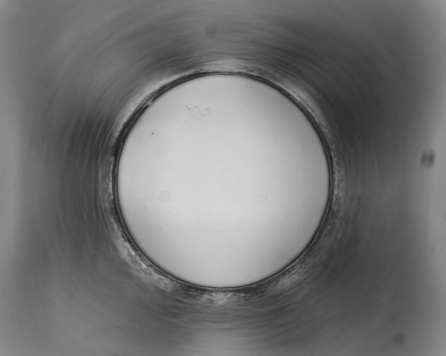 X0000115111000200911171301