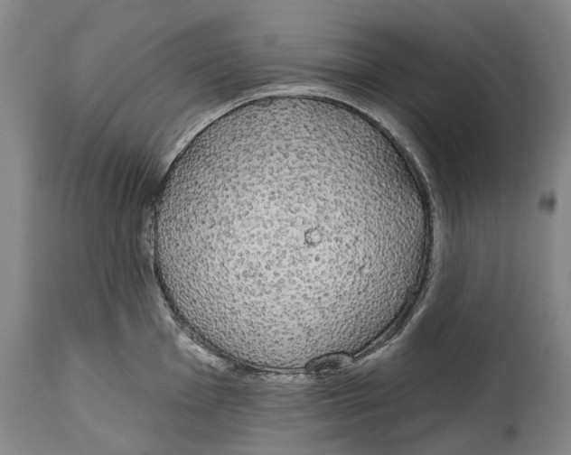 X0000115111001200911171301