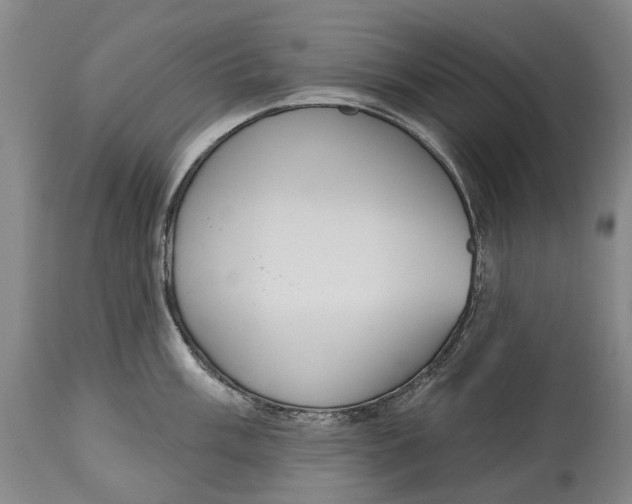 X0000115111003200911171301