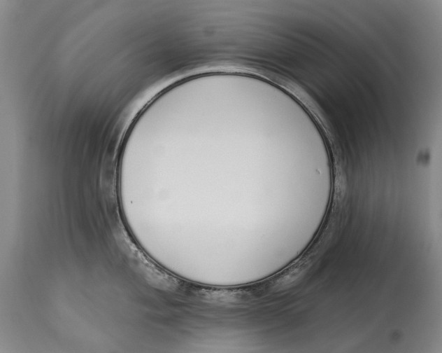 X0000115111004200911171301