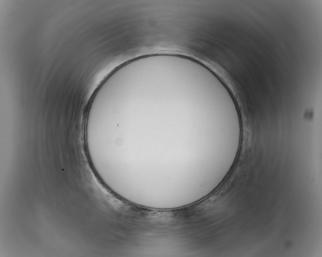 X0000115111006200911171301