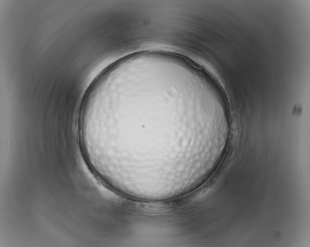 X0000115111007200911171301