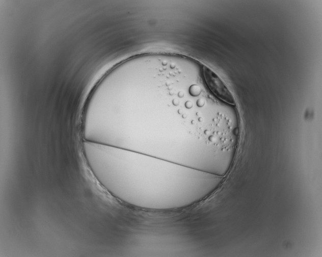 X0000115111008200911171301