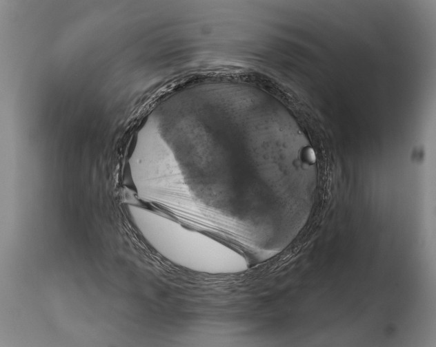 X0000115111013200911171300