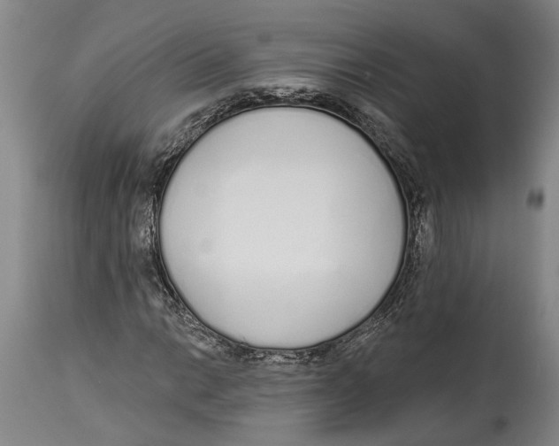X0000115111014200911171300
