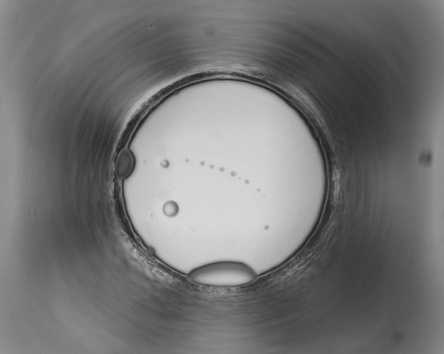 X0000115111020200911171300