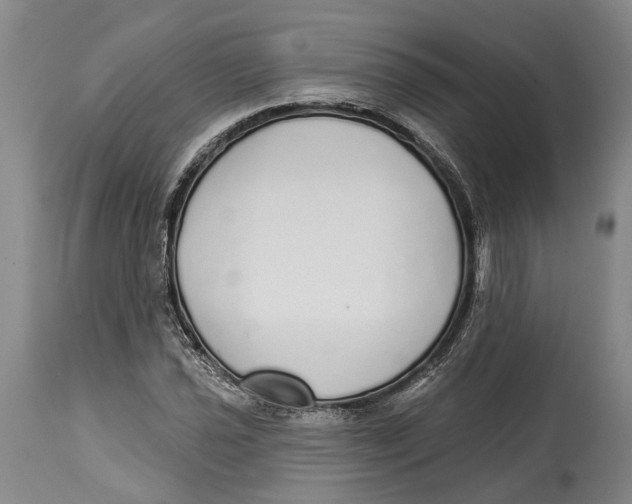 X0000115111021200911171300
