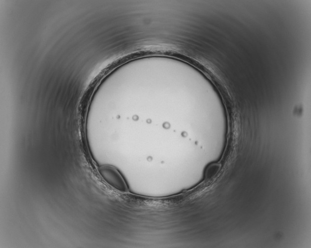 X0000115111022200911171300