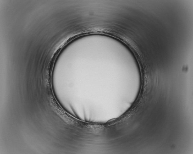 X0000115111023200911171300