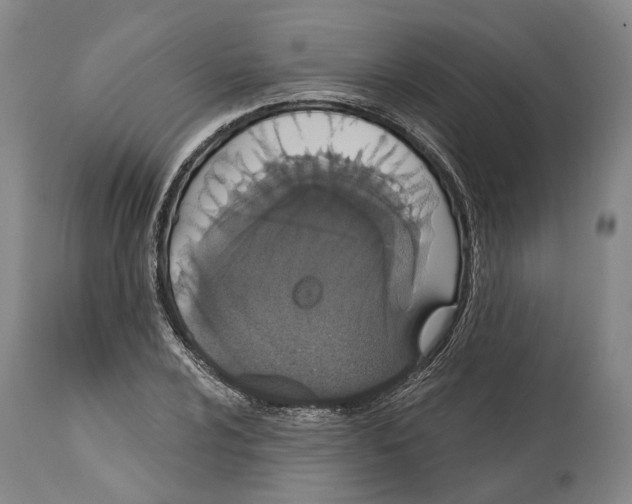 X0000115111024200911171300