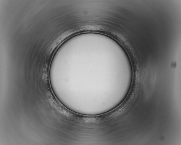 X0000115111025200911171300